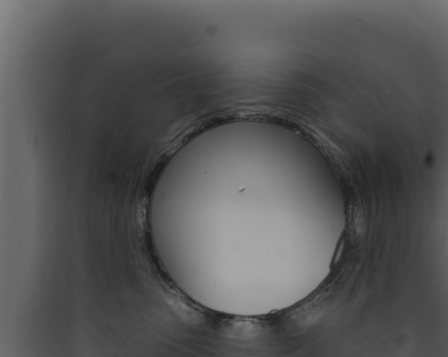 X0000090440475200707131034
