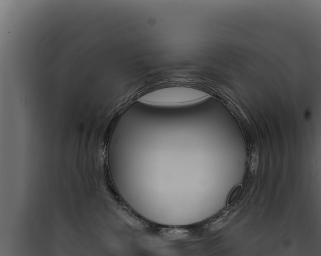 X0000090440476200707131034