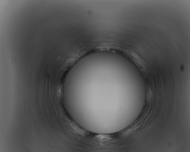 X0000090440477200707131034