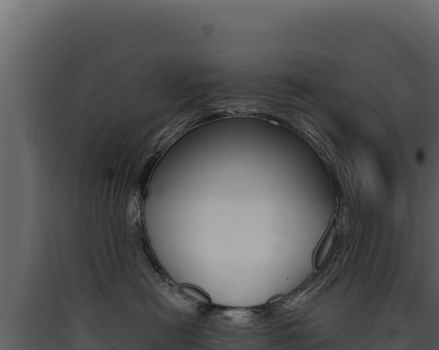 X0000090440478200707131034