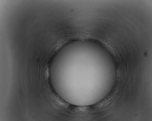X0000090440479200707131034