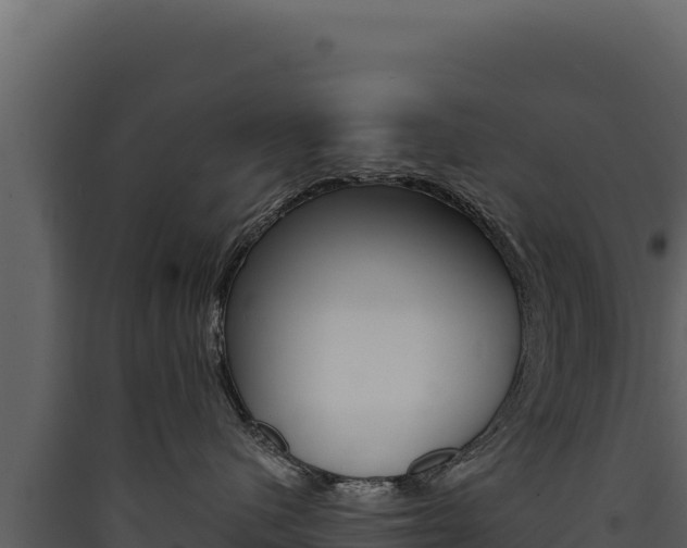 X0000090440480200707131034