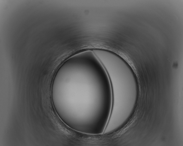 X0000090440481200707131033