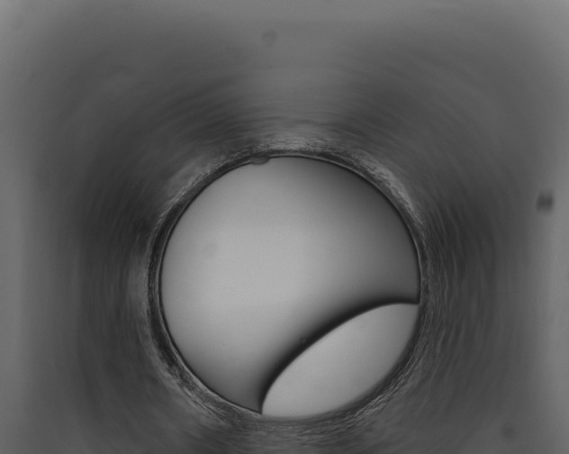 X0000090440482200707131033