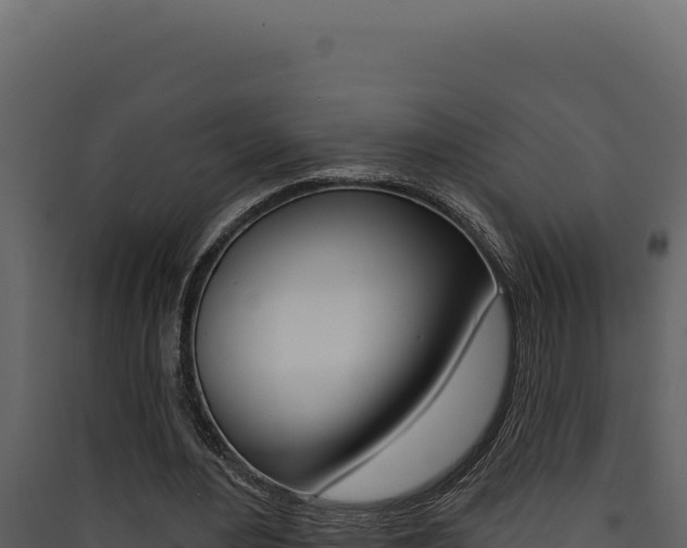 X0000090440484200707131033