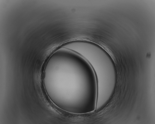 X0000090440485200707131033