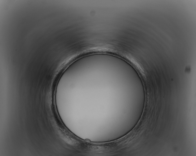X0000090440486200707131033