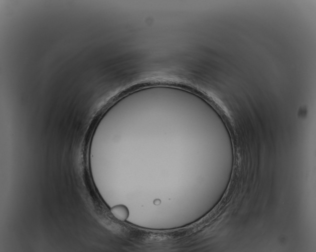 X0000090440487200707131033