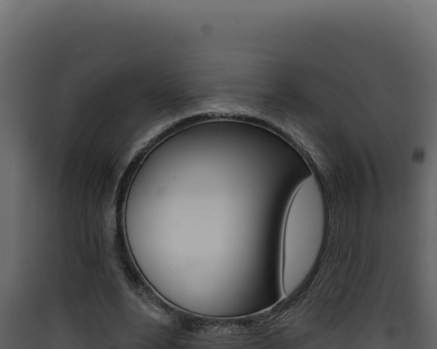 X0000090440488200707131033
