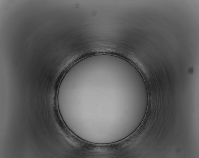 X0000090440490200707131033