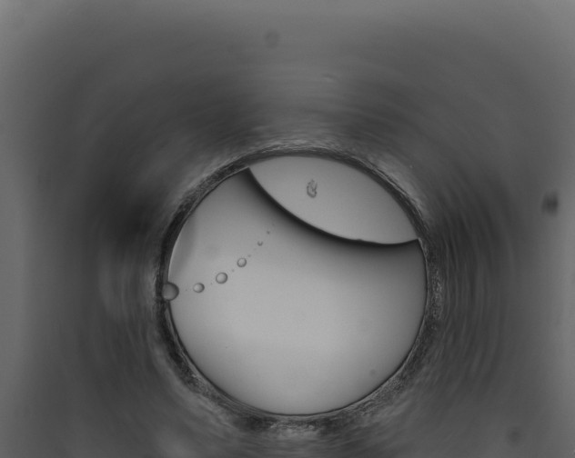 X0000090440491200707131033