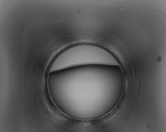 X0000090440492200707131033