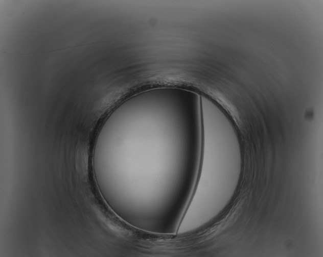X0000090440493200707131033