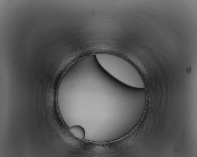 X0000090440494200707131033