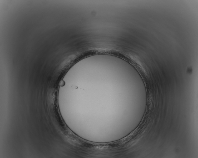 X0000090440495200707131033
