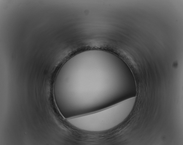 X0000090440496200707131033