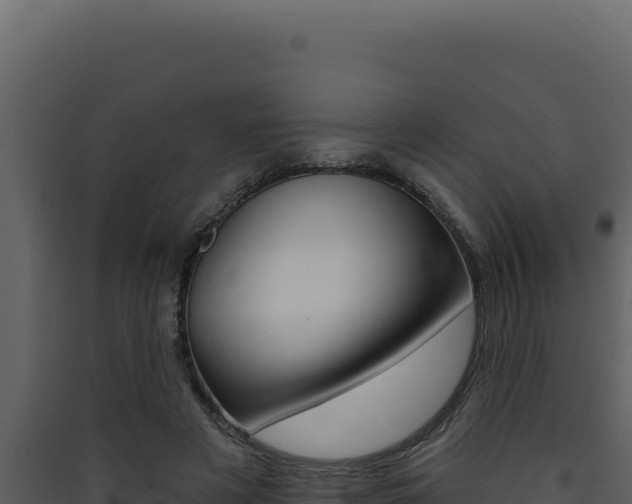 X0000090440497200707131033