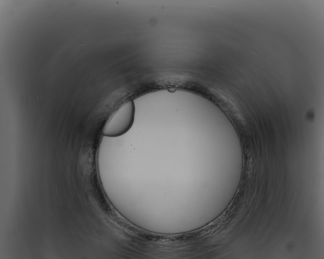 X0000090440498200707131033