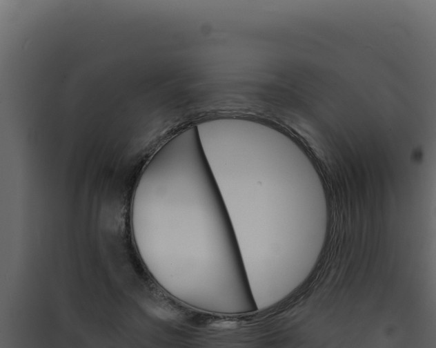 X0000090440499200707131033