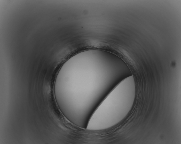 X0000090440500200707131033
