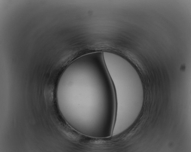 X0000090440501200707131033