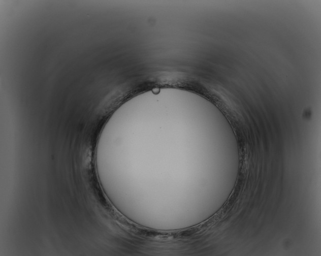 X0000090440502200707131033