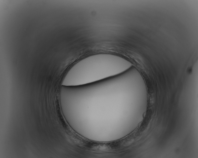 X0000090440503200707131033