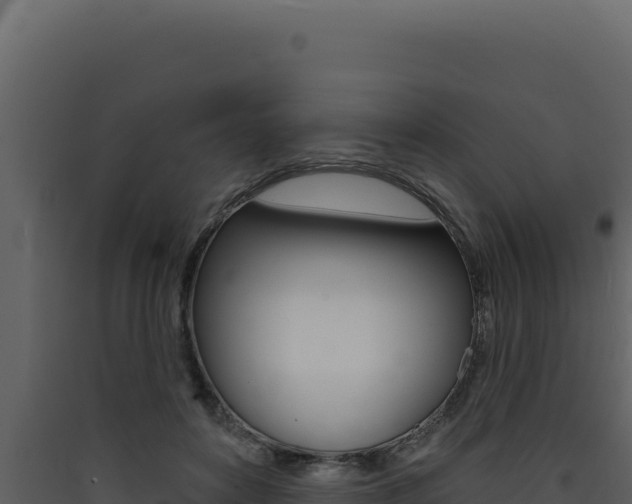 X0000090440504200707131033