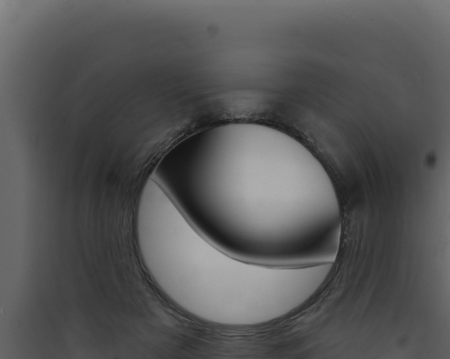 X0000090440505200707131033