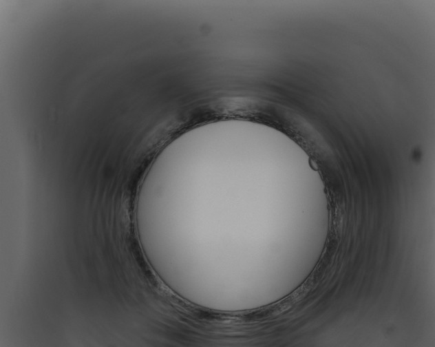 X0000090440506200707131033