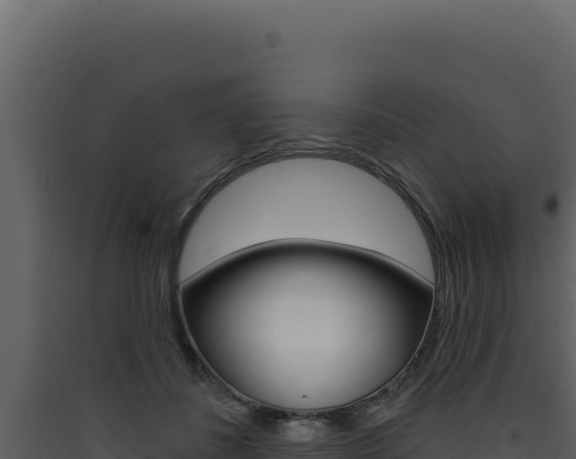 X0000090440508200707131033