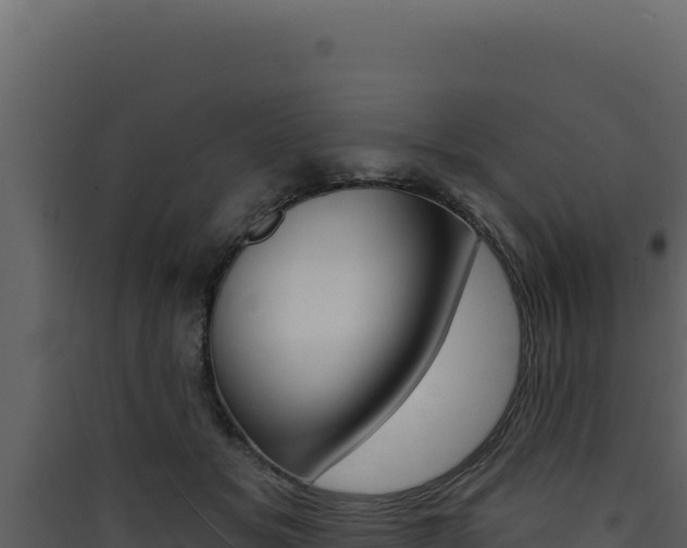 X0000090440509200707131033
