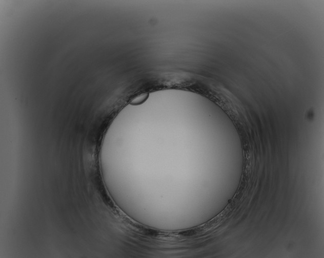 X0000090440510200707131033