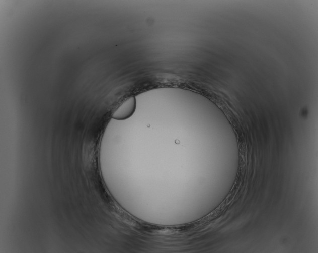 X0000090440511200707131033