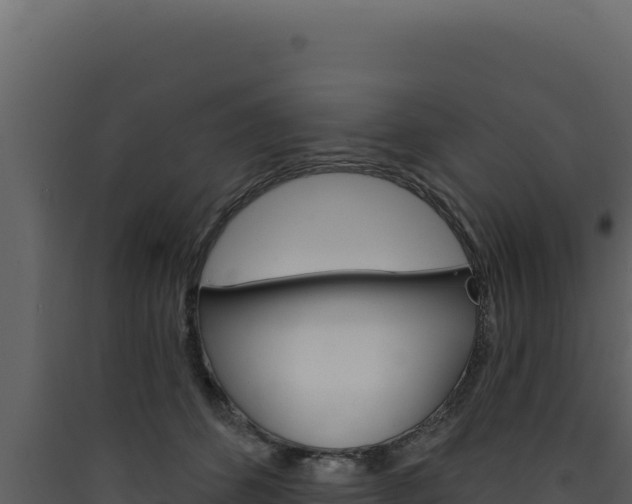 X0000090440512200707131033