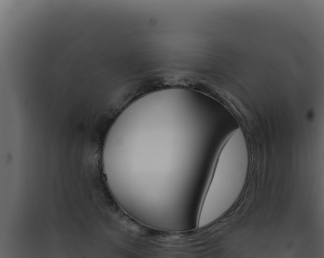 X0000090440513200707131033
