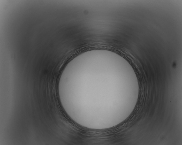 X0000090440516200707131033