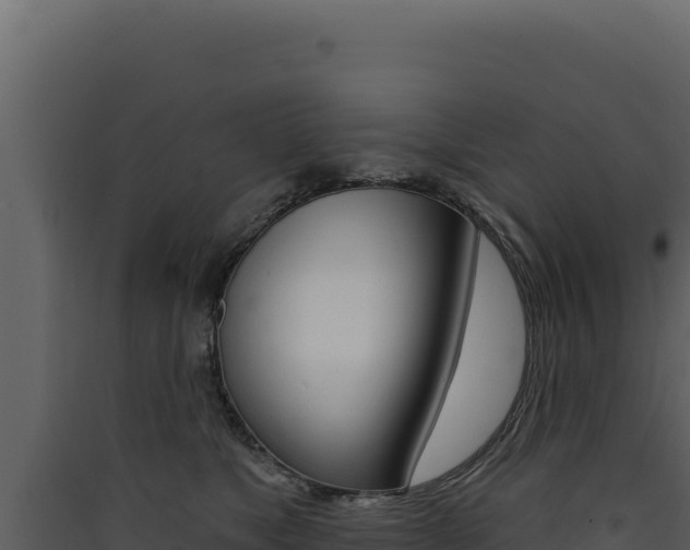 X0000090440517200707131033