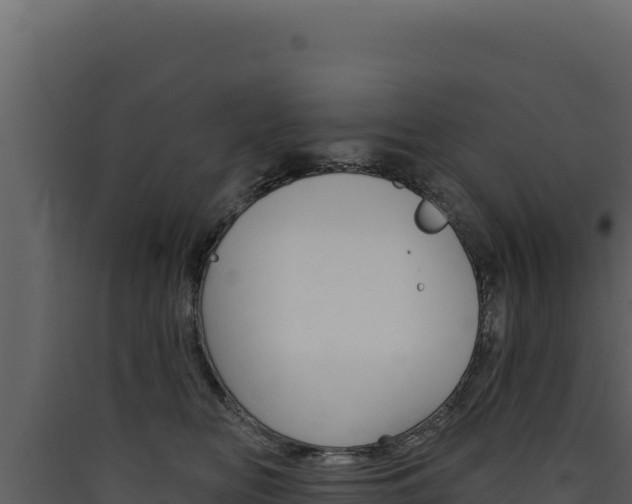 X0000090440518200707131033