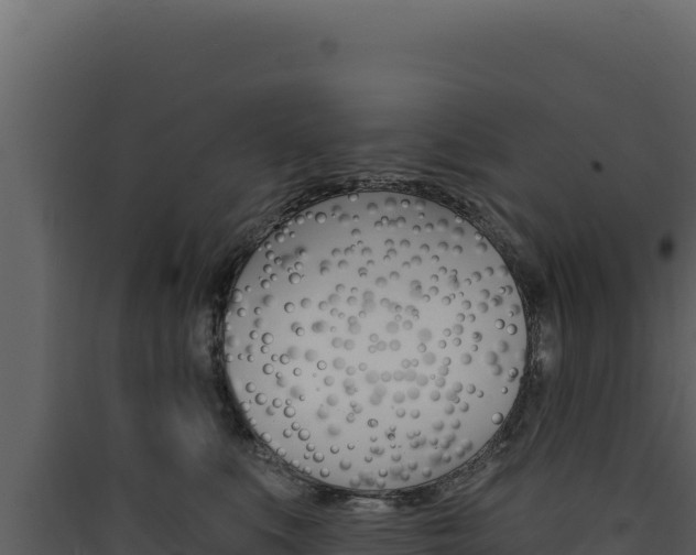 X0000090440519200707131033
