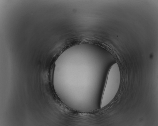 X0000090440520200707131033