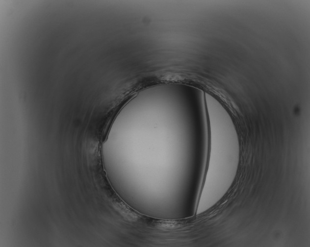 X0000090440521200707131033