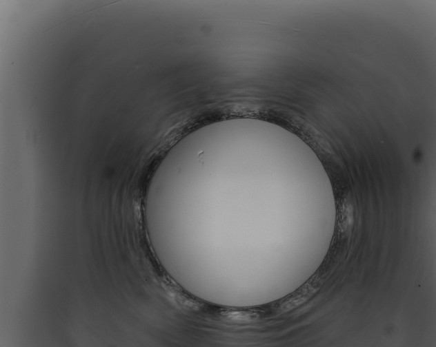 X0000090440522200707131033