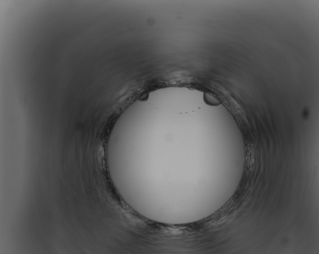 X0000090440523200707131033
