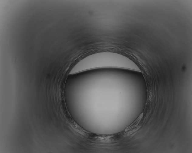 X0000090440524200707131033