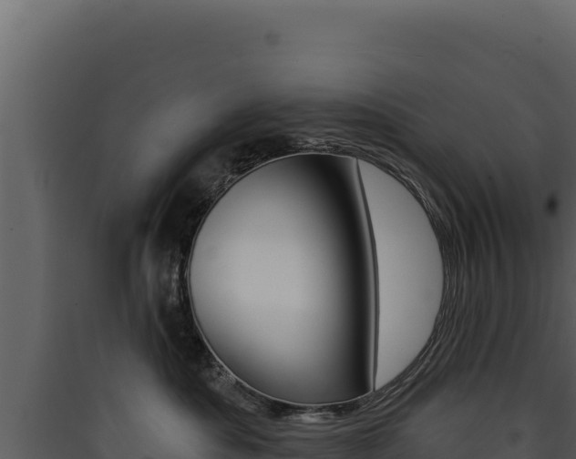 X0000090440525200707131033