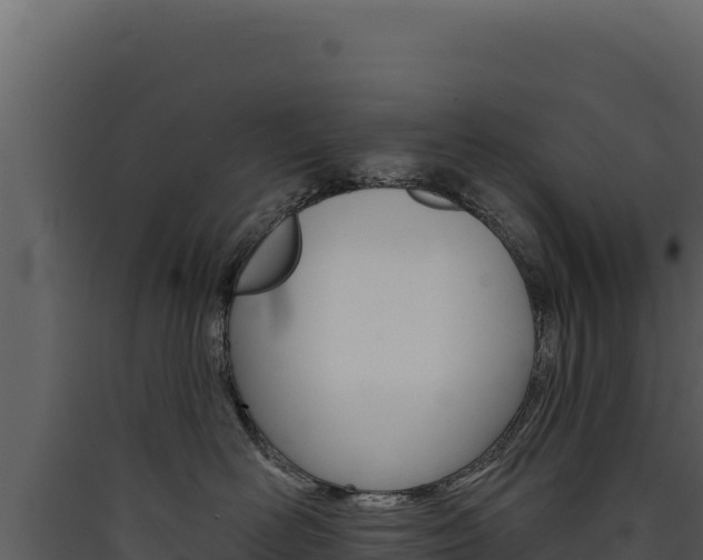 X0000090440526200707131033