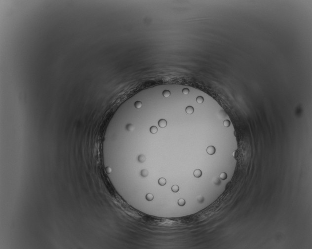 X0000090440527200707131033