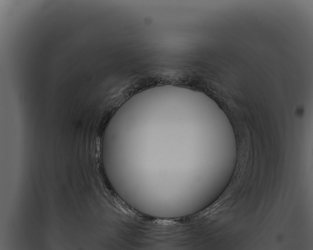 X0000090440528200707131033