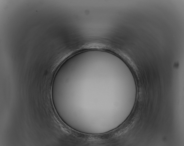 X0000090440529200707131032